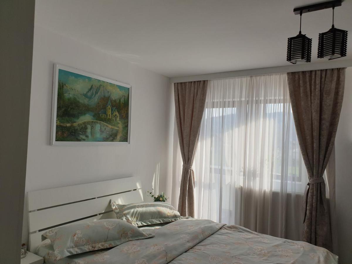 Bed and Breakfast Casa Tomsa Rozavlea Экстерьер фото