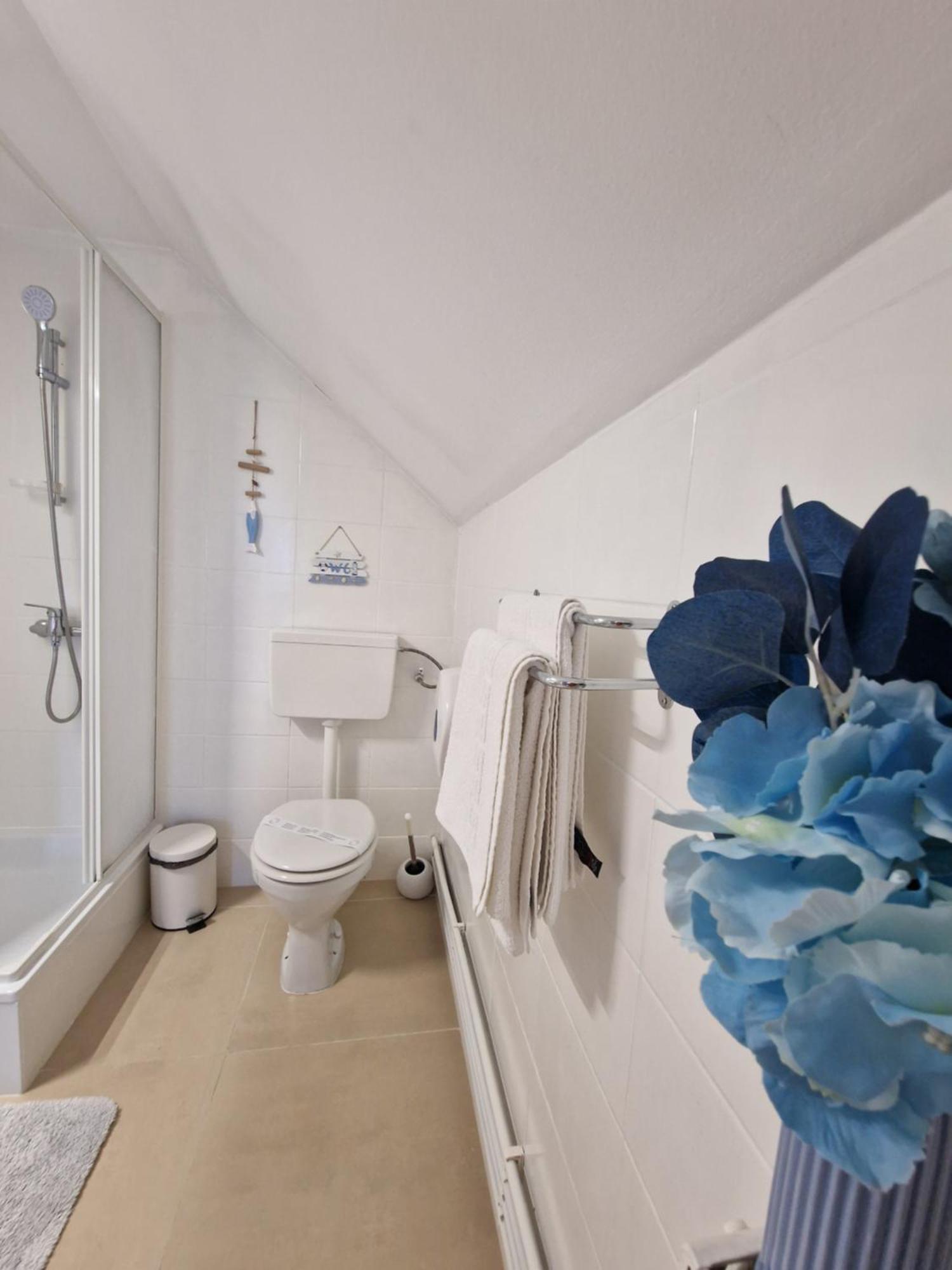 Bed and Breakfast Casa Tomsa Rozavlea Экстерьер фото